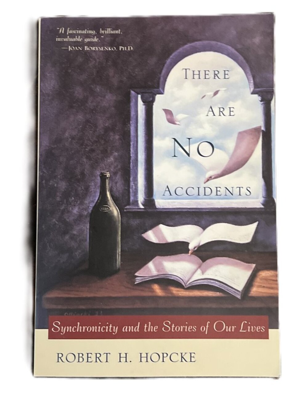 There Are No Accidents, Synchronicity & the Stories of Our Lives, Robert Hopcke